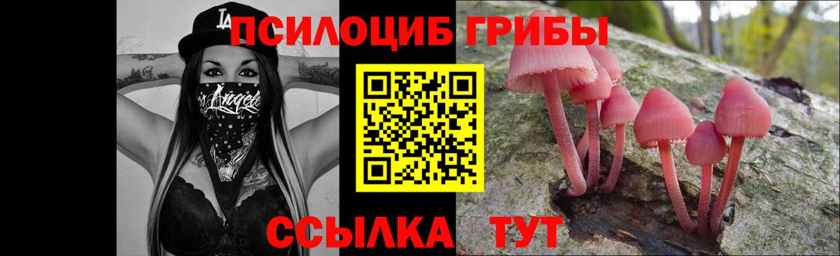 Псилоцибиновые грибы GOLDEN TEACHER Лабытнанги